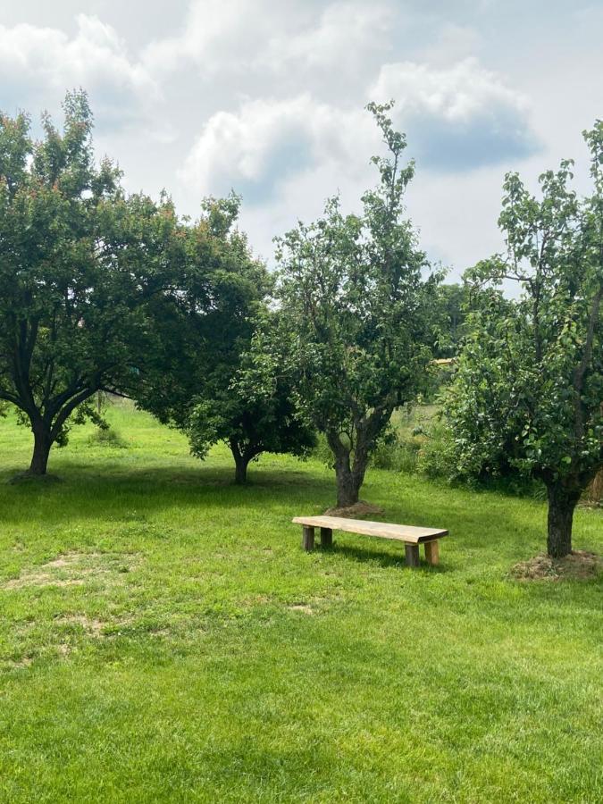 Holiday Home Znojmo W/ Wellness & Wine Екстериор снимка
